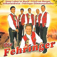 Unser Leben ist Musik  -  Die Fehringer