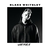 Blake Whiteley – Wait For It