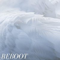 Přední strana obalu CD Reboot