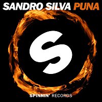 Sandro Silva – Puna