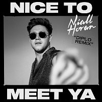 Niall Horan, Diplo – Nice To Meet Ya [Diplo Remix]