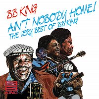 Ain't Nobody Home: The Very Best Of