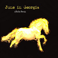 Přední strana obalu CD White Horse