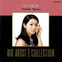 Tomoko Ogawa – Big Artist Best Collection Tomoko Ogawa