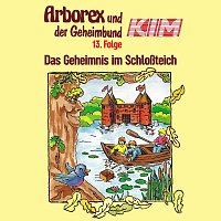 Arborex und der Geheimbund KIM – 13: Das Geheimnis im Schloszteich