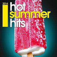 Přední strana obalu CD Hot Summer Hits 2014