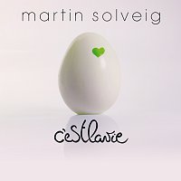 Martin Solveig, Jay Sebag – C'Est La Vie [Radio Edit]