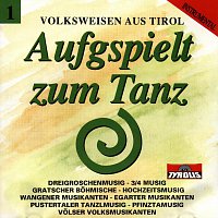 Různí interpreti – Aufgspielt zum Tanz