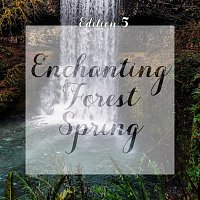 Různí interpreti – Enchanting Forest Spring, Edition 5 (Original Score)
