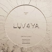 Destroy Lonely – LUV 4 YA