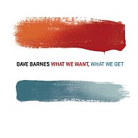 Dave Barnes – What We Want, What We Get