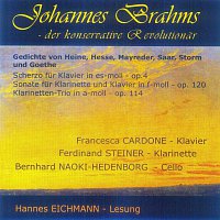 Francesca Cardone, Ferdinand Steiner, Bernhard Naoki-Hedenborg – Johannes Brams