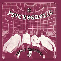 Přední strana obalu CD Psychegaelic - French Freakbeat