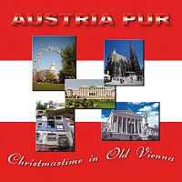 Austria Pur feat. Michael J. Morgen & die Harald Fendrich Band