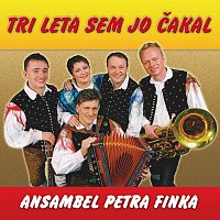 Ansambel Petra Finka – Tri leta sem jo čakal