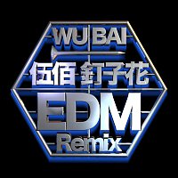 Ding Zi Hua [EDM Remix]