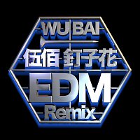 Bai Wu – Ding Zi Hua [EDM Remix]