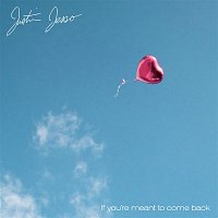Justin Jesso – If you meant to come back