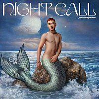 Přední strana obalu CD Night Call [Deluxe]