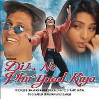 Aadesh Srivastava – Dil Ne Phir Yaad Kiya (Original Motion Picture Soundtrack)