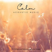 Různí interpreti – Calm Acoustic Music: 12 Chilled and Relaxing Acoustic Songs