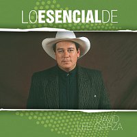 David Lee Garza – Lo Esencial De...