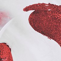 slenderbodies – queen [acoustic]
