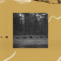 Luke Howard – Laulasmaa
