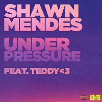 Shawn Mendes, teddy – Under Pressure