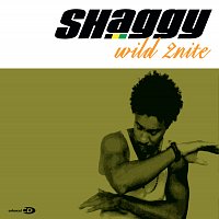 Shaggy – Wild 2nite