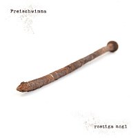 Freischwimma – rostiga nogl