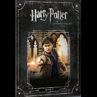 Různí interpreti – Harry Potter a Relikvie smrti - část 2. DVD
