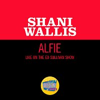 Shani Wallis – Alfie [Live On The Ed Sullivan Show, May 12, 1968]