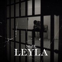 NGEE – LEYLA