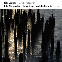 John Surman, John Abercrombie, Drew Gress, Jack DeJohnette – Brewster's Rooster