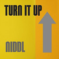 Niddl – Turn it up