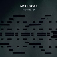 Nick Mulvey – The Trellis EP