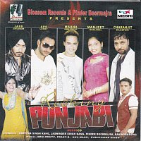 Rocking Punjabi