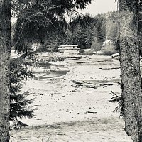 Přední strana obalu CD Dreaming Through the Early Hours