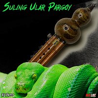 Přední strana obalu CD Suling Ular Pargoy