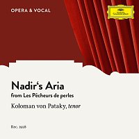 Bizet: Les pecheurs de perles: Nadir's Aria