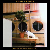 Adam French – Wanna Be Here [Acoustic]
