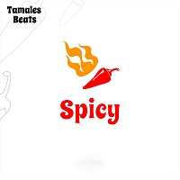 Přední strana obalu CD Spicy