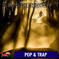 Přední strana obalu CD Into the Night IV