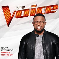 Gary Edwards – What’s Going On [The Voice Performance]