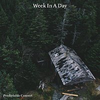 Predictable Concert – Week in a Day