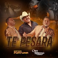 Banda Fortuna, Chuy Lizárraga y Su Banda Tierra Sinaloense – Te Pesará