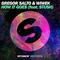 Gregor Salto & Wiwek – How It Goes (feat. Stush)