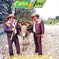 Carlos Y José – Rinconcito De Amor