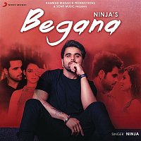 Ninja – Begana